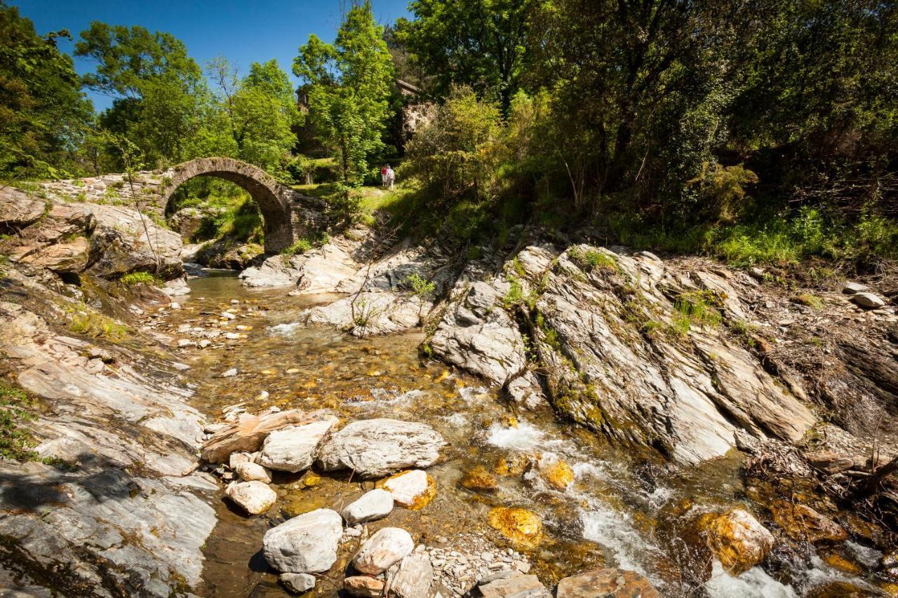 Transgardon B&B En Cevennes Saint-Privat-de-Vallongue 외부 사진