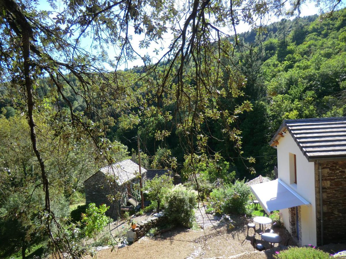 Transgardon B&B En Cevennes Saint-Privat-de-Vallongue 외부 사진