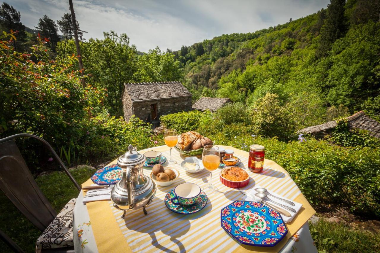 Transgardon B&B En Cevennes Saint-Privat-de-Vallongue 외부 사진