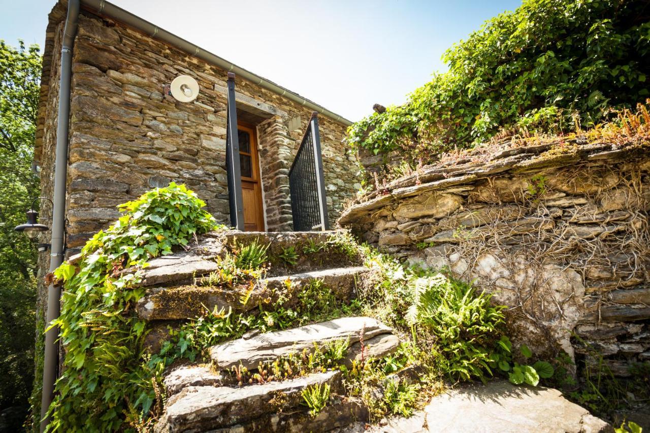 Transgardon B&B En Cevennes Saint-Privat-de-Vallongue 외부 사진