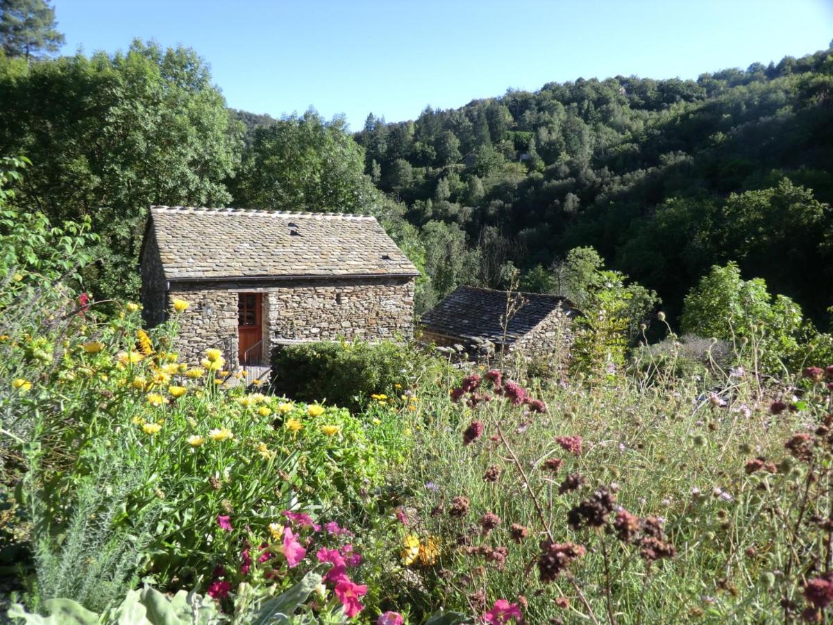 Transgardon B&B En Cevennes Saint-Privat-de-Vallongue 외부 사진